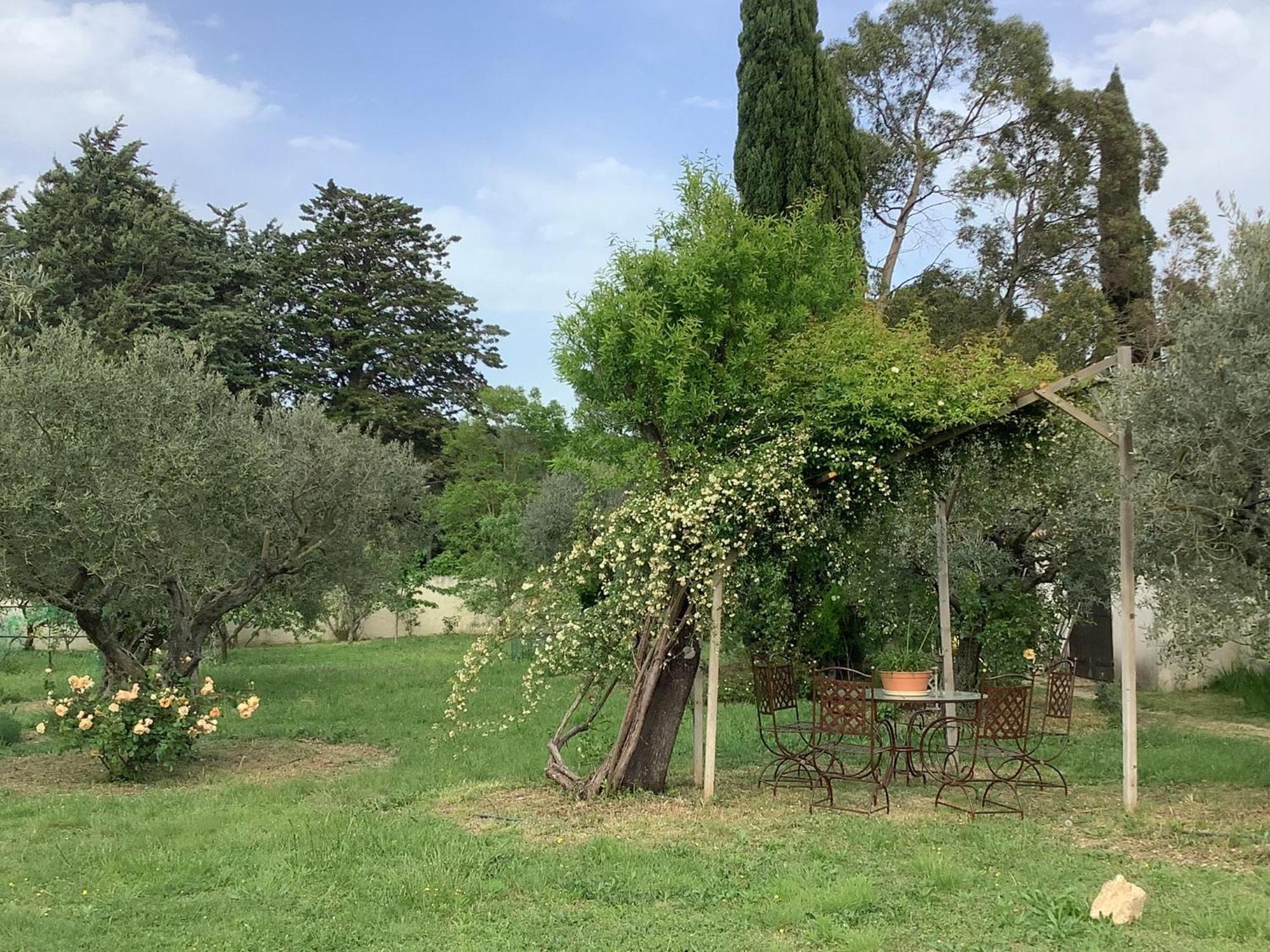 Le Mas Des Oliviers Martigues Dış mekan fotoğraf